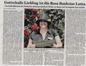 Artikel vom ABB, 23.03.2024